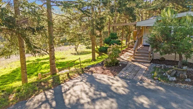 a view of a yard with plants and trees