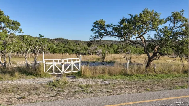 a view of a wooden bridge with large trees