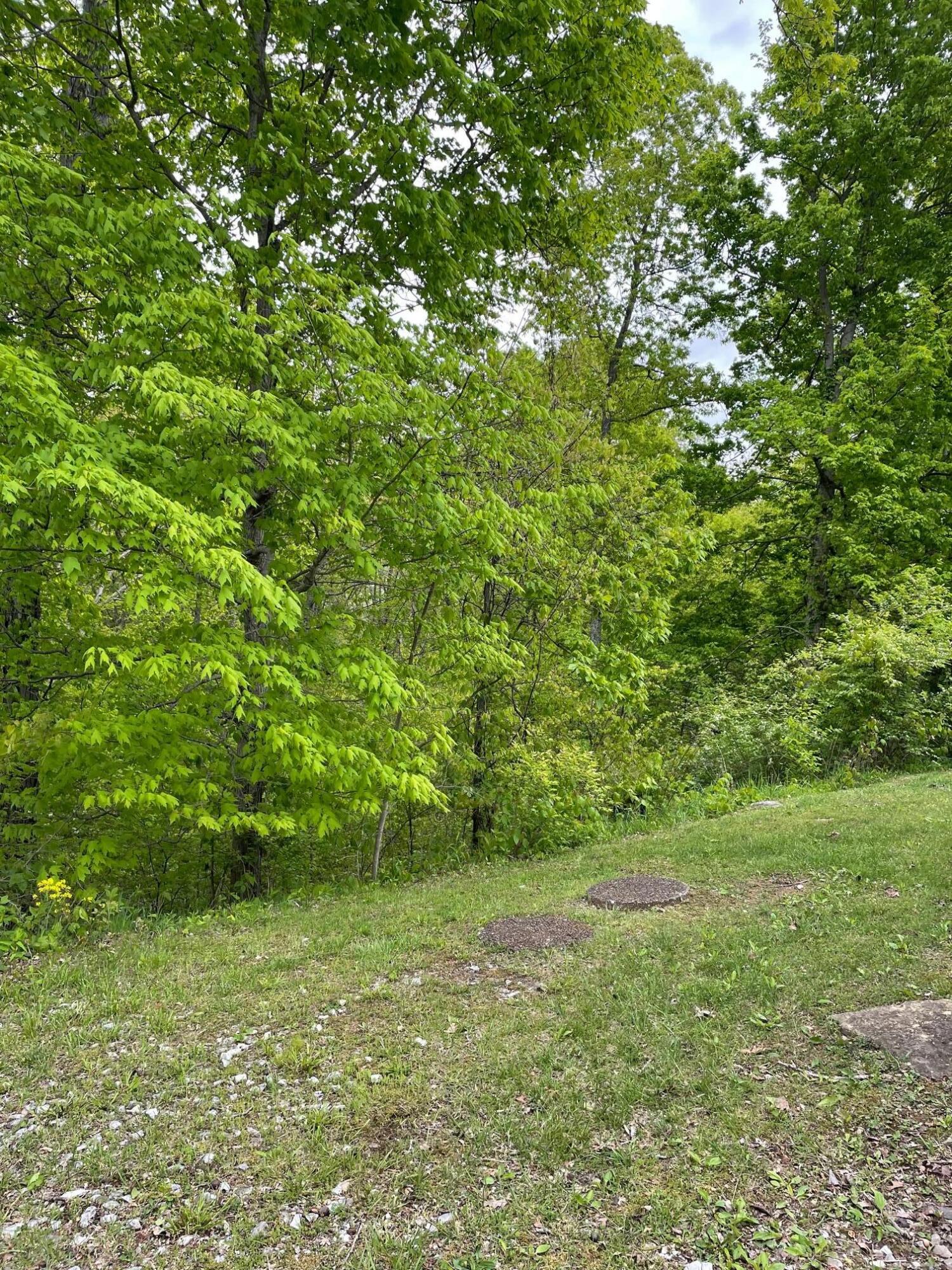3195 Baker Williams Road Corinth, KY 41010 - Photo 27 of 29 Gallery Image 27