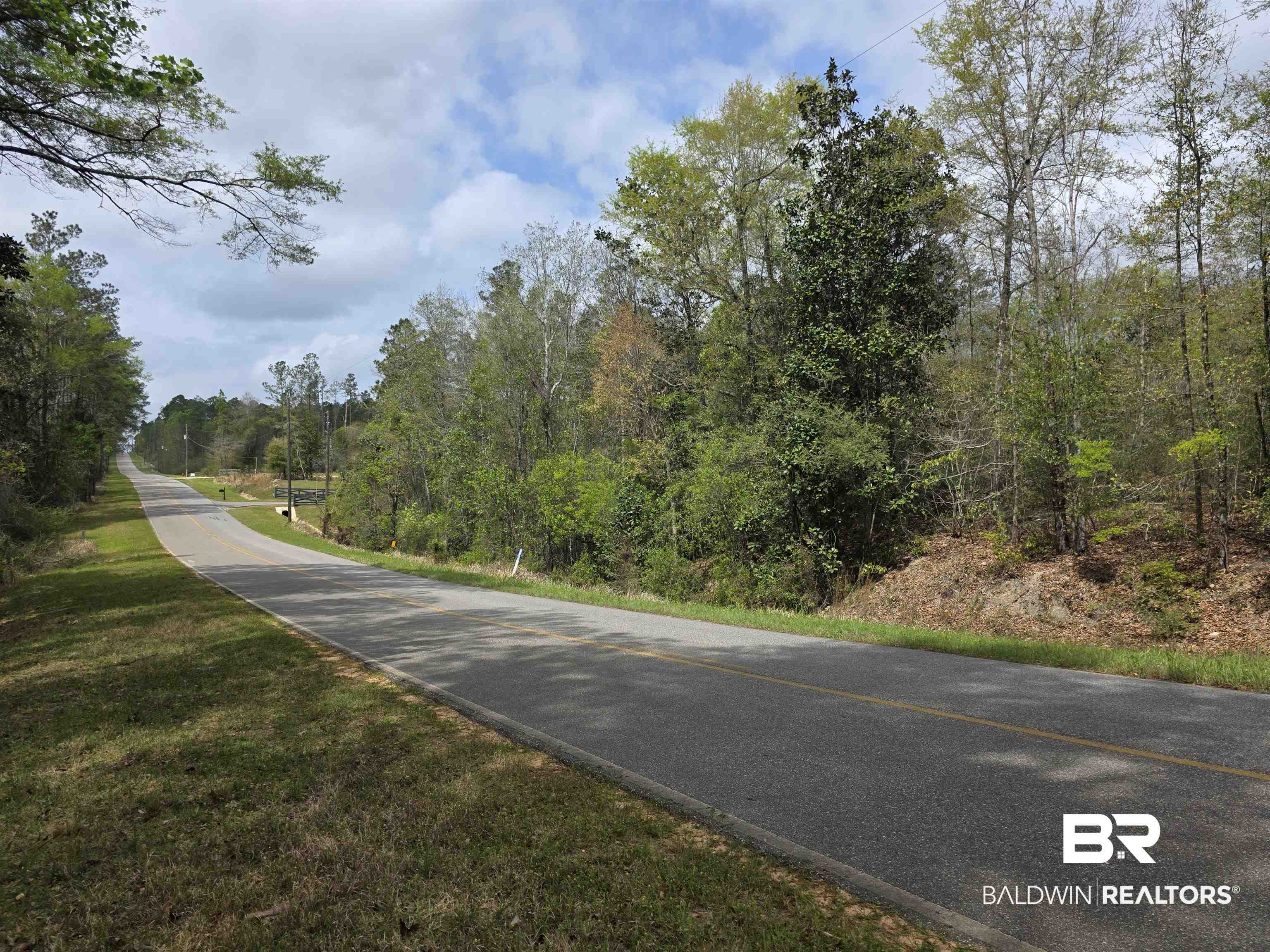 12185 Red Hill Rd Extension Bay Minette, AL 36507 - Photo 1 of 6 View of asphalt street