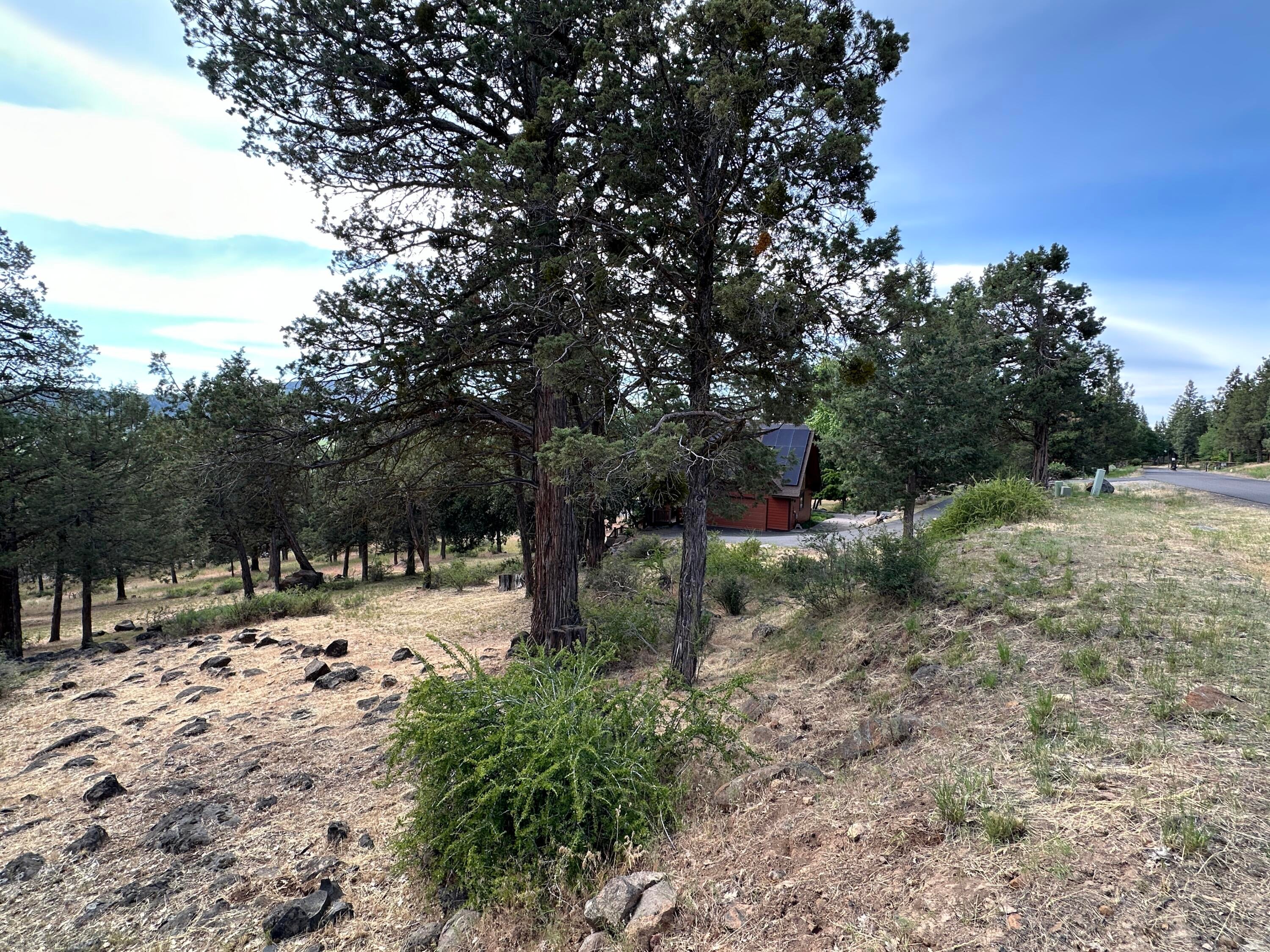 Lot 805 Cooper's Hawk Road Klamath Falls, OR 97601 - Photo 26 of 27 IMG_8766