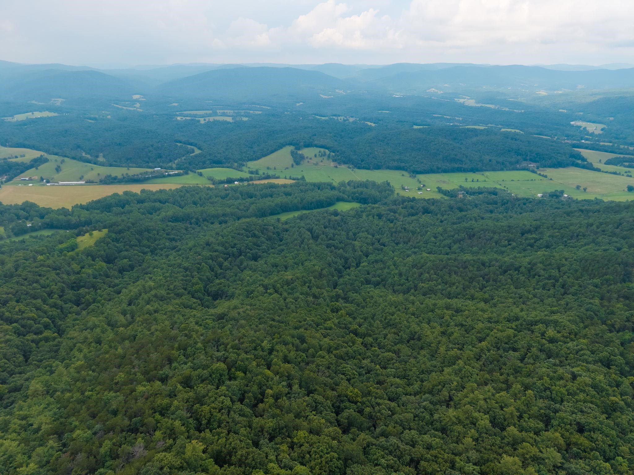 Tbd Criders Road Bergton, VA 22811 - Photo 21 of 22