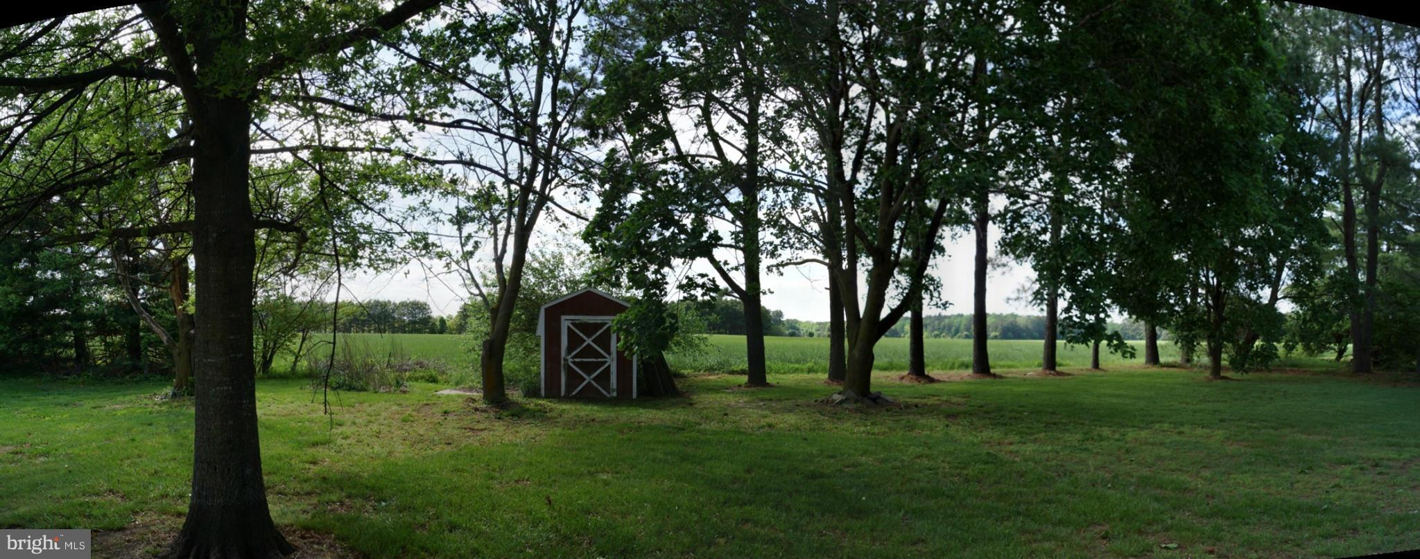 8184 Harmony Road Denton, MD 21629 - Photo 3 of 23 a view of park space
