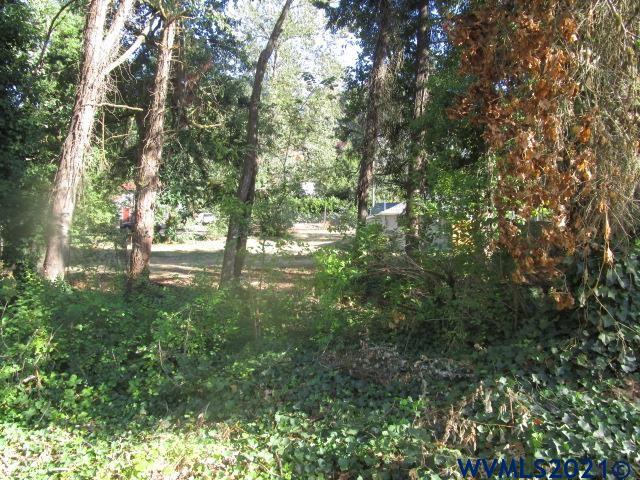 6912 Liberty Road South Salem, OR 97306 - Photo 31 of 37 a view of tree