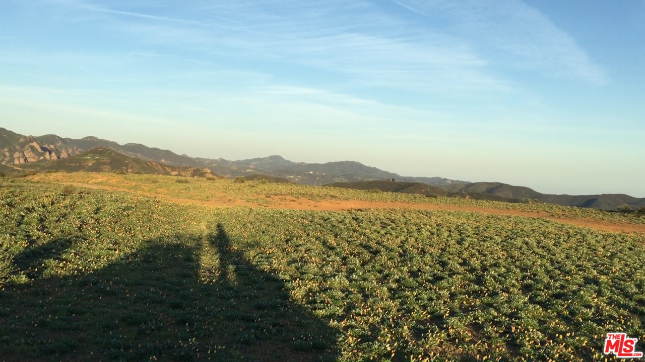 9522 Cotharin Road Malibu, CA 90265 - Photo 3 of 4