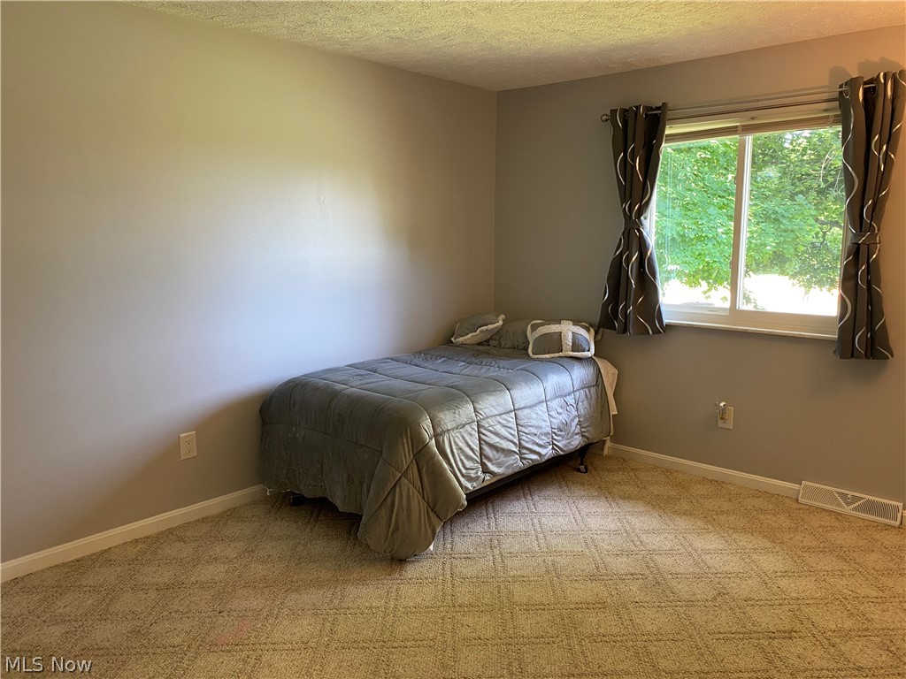 4287 Lane Road Perry, OH 44081 - Photo 15 of 35
