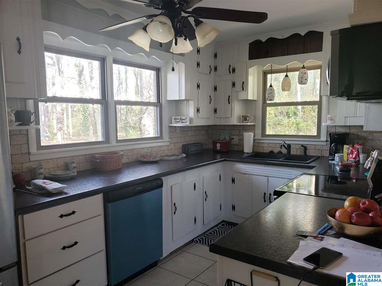 145 Virginia Street Oneonta, AL 35121 - Photo 8 of 19
