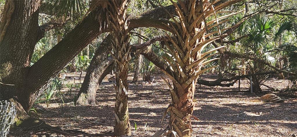 11159 North Clamdigger Terrace Inglis, FL 34449 - Photo 26 of 56