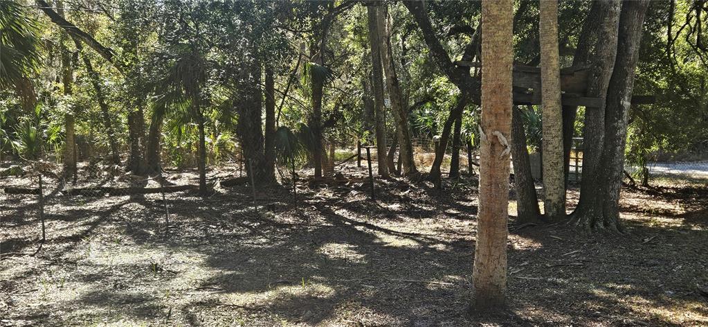 11159 North Clamdigger Terrace Inglis, FL 34449 - Photo 28 of 56