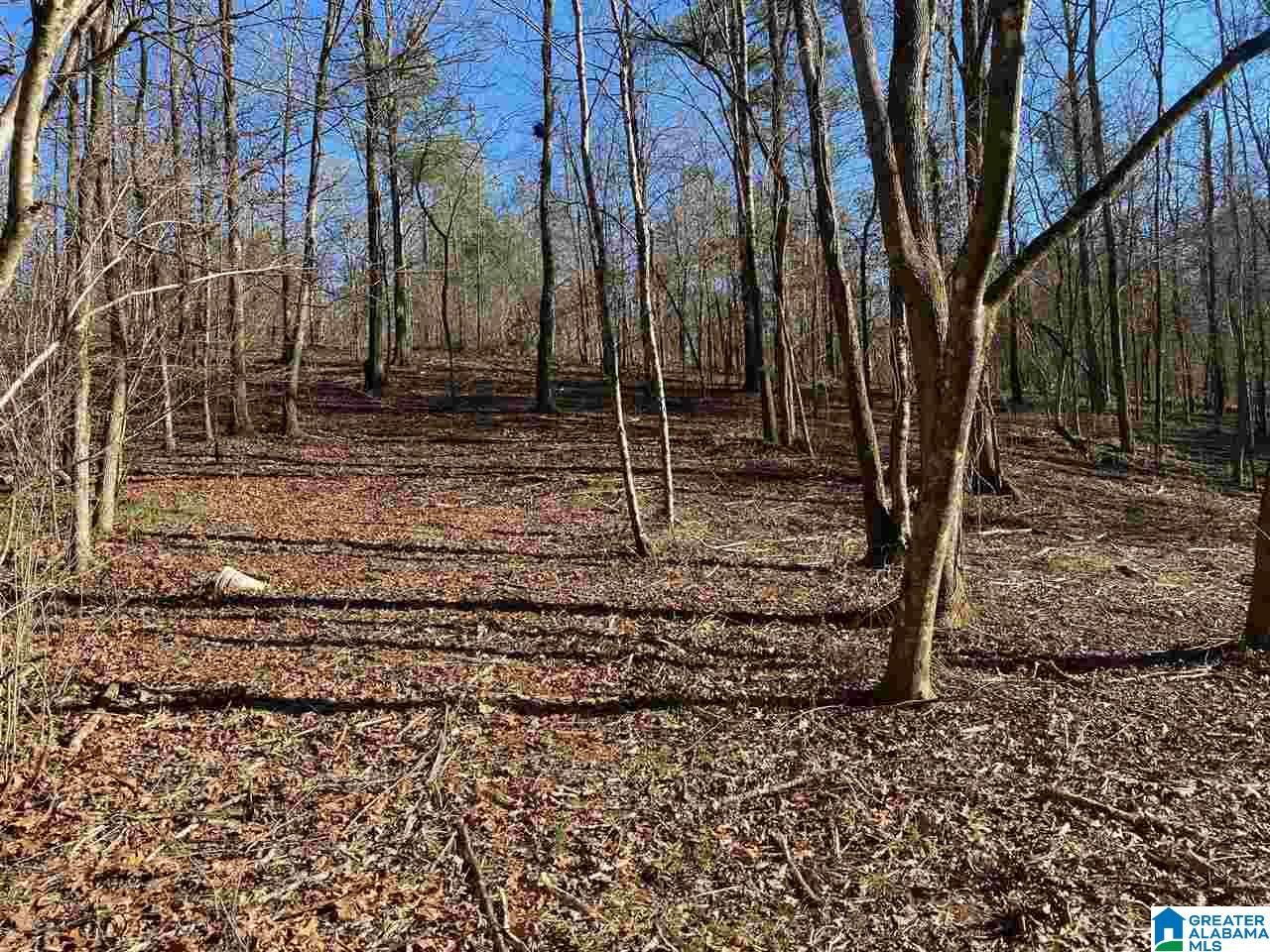 1837 Westover Road, Unit 1 Sterrett, AL 35147 - Photo 3 of 4