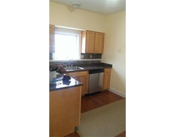 123 Ruthven Street, Unit 123 Boston, MA 02121 - Photo 2 of 17 Gallery Image 2