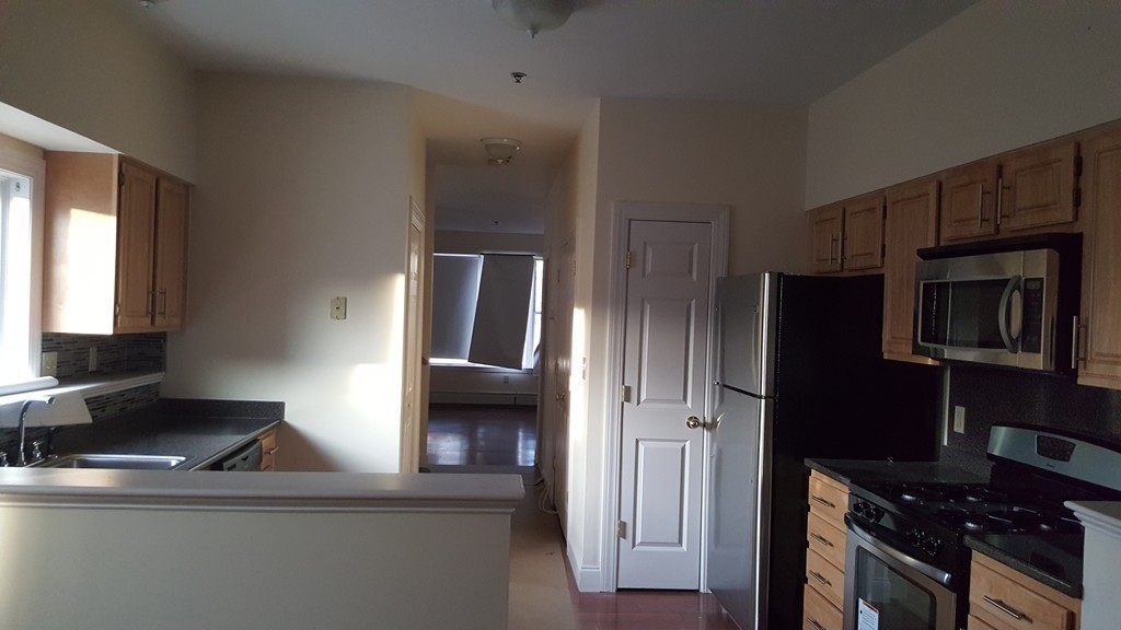 123 Ruthven Street, Unit 123 Boston, MA 02121 - Photo 4 of 17 Gallery Image 4