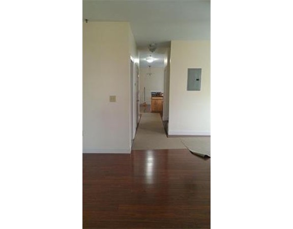 123 Ruthven Street, Unit 123 Boston, MA 02121 - Photo 7 of 17 Gallery Image 7