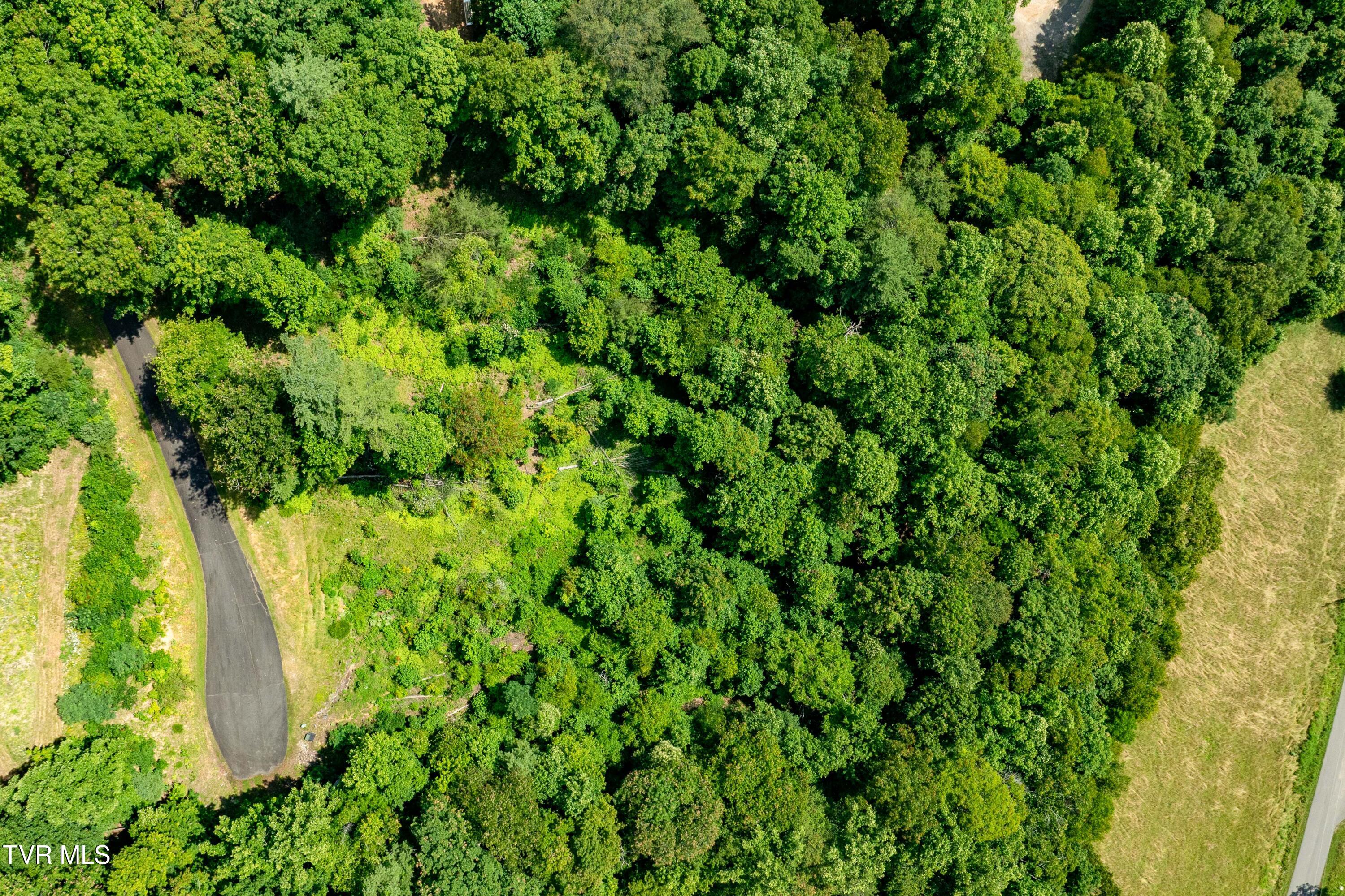 Lot 31 Lake Ridge Road, Unit 31 Butler, TN 37640 - Photo 2 of 31 Lot 31 (2 of 30)