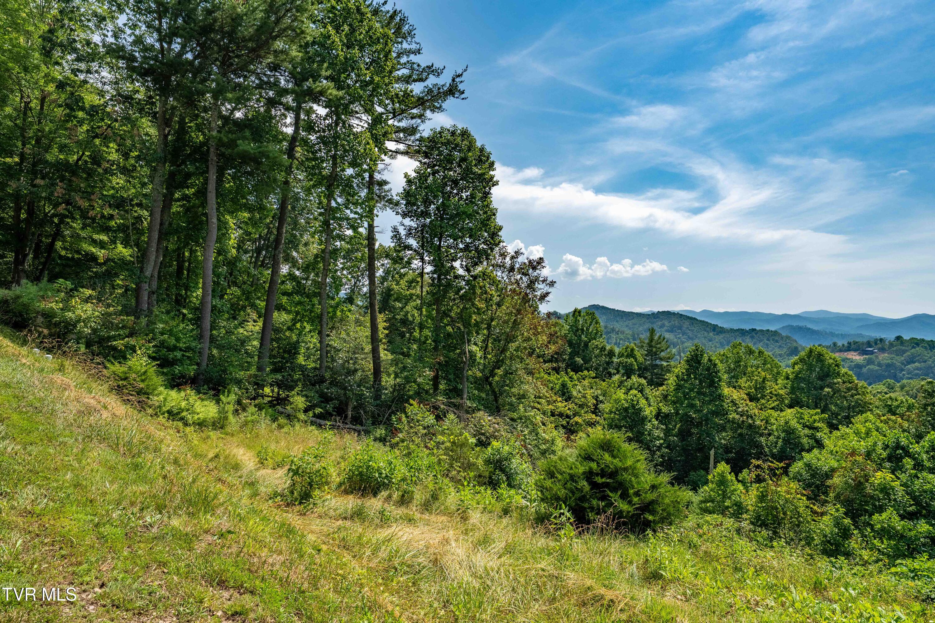 Lot 31 Lake Ridge Road, Unit 31 Butler, TN 37640 - Photo 29 of 31 Lot 31 (29 of 30)