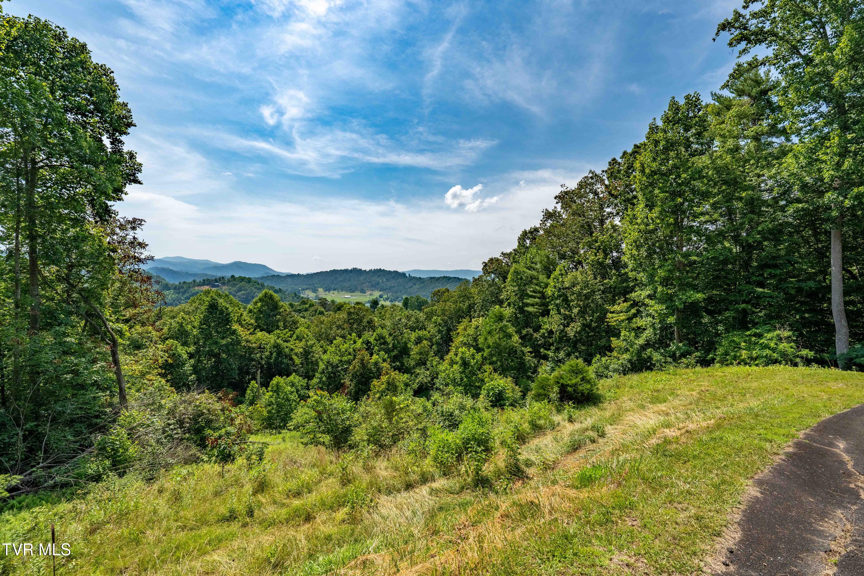 Lot 31 Lake Ridge Road, Unit 31 Butler, TN 37640 - Photo 30 of 31 Lot 31 (30 of 30)