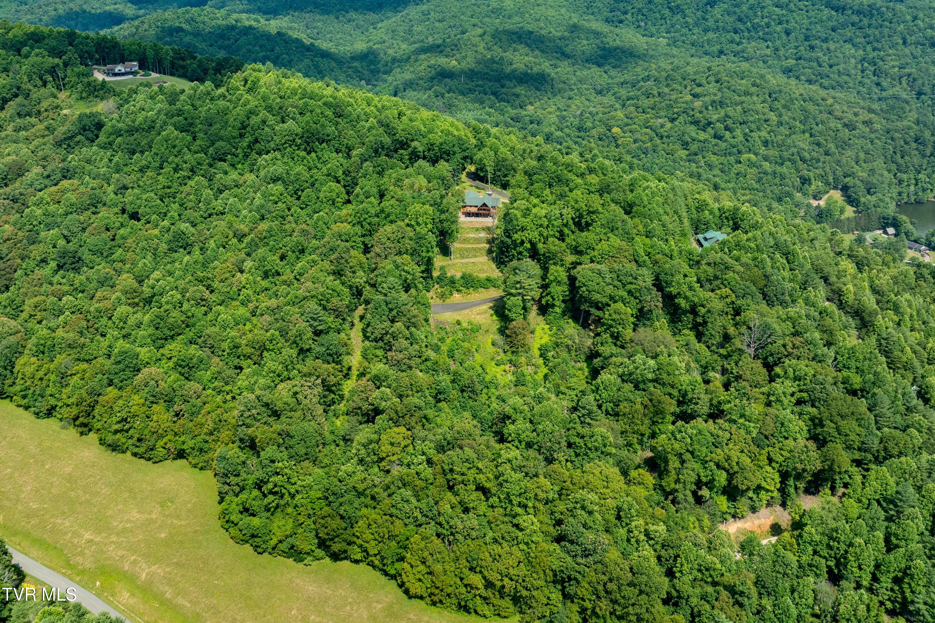 Lot 31 Lake Ridge Road, Unit 31 Butler, TN 37640 - Photo 4 of 31 Lot 31 (4 of 30)