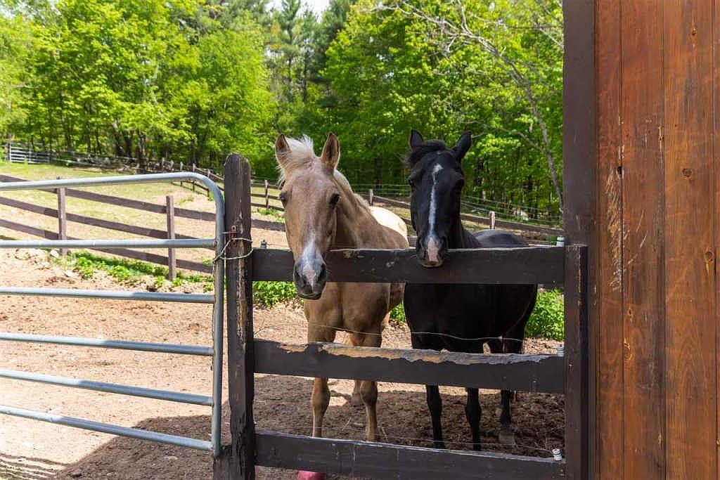 391 New Boston Road Candia, NH 03034 - Photo 16 of 19