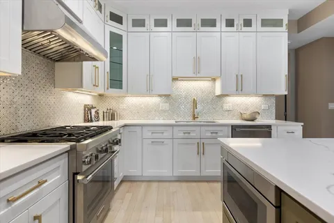 $849,000 | 2450 North Clybourn Avenue, Unit 2, Chicago, IL 60614