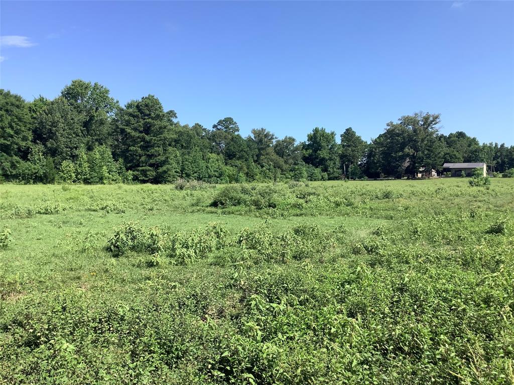 0 Old Plain Dealing Road Benton, LA 71006 - Photo 2 of 7 a view of a lush green space