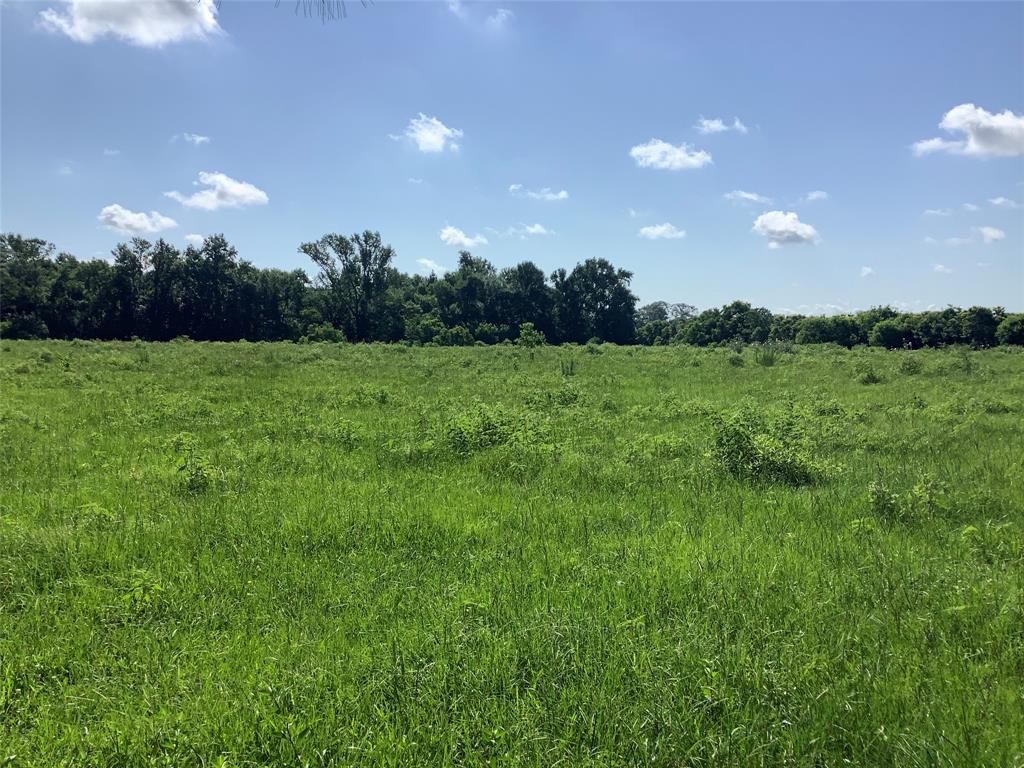 0 Old Plain Dealing Road Benton, LA 71006 - Photo 3 of 7 a view of an outdoor space and yard