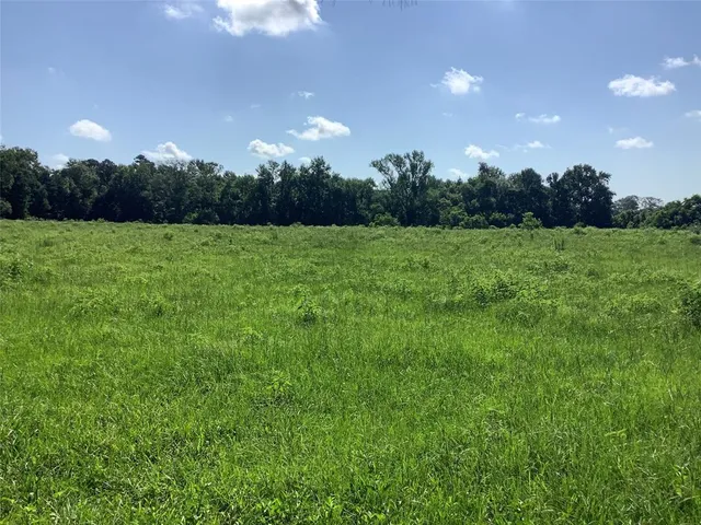 a view of an outdoor space and yard