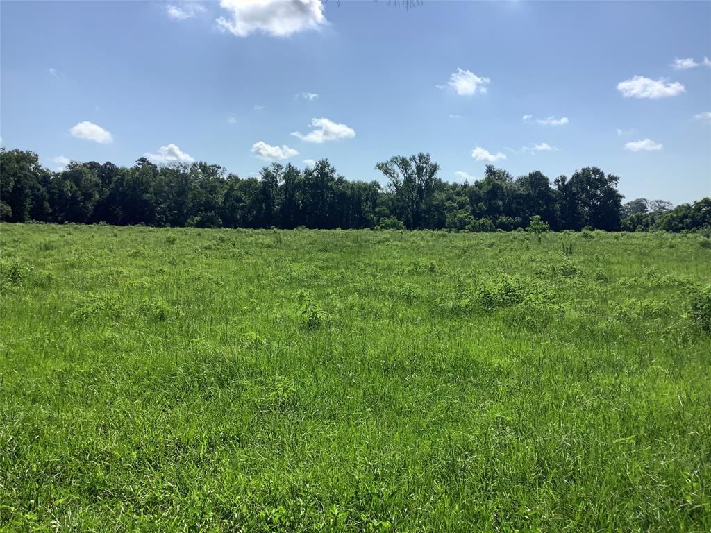 0 Old Plain Dealing Road Benton, LA 71006 - Photo 4 of 7 a view of an outdoor space and yard