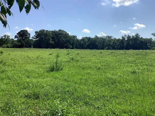 a view of outdoor space and yard
