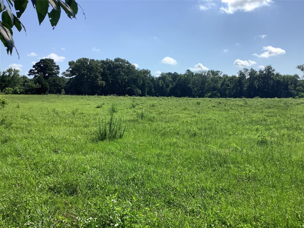 0 Old Plain Dealing Road Benton, LA 71006 - Photo 5 of 7 a view of outdoor space and yard
