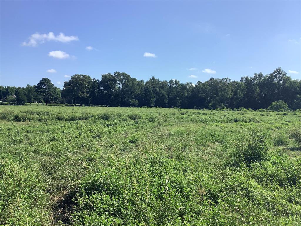0 Old Plain Dealing Road Benton, LA 71006 - Photo 6 of 7 a view of an outdoor space and a yard