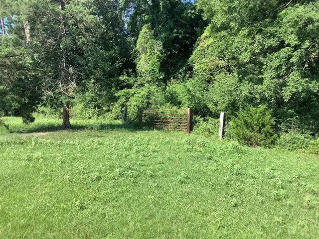 a view of a green field with lots of bushes