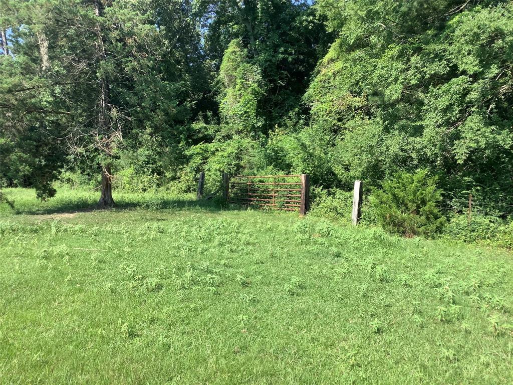 0 Old Plain Dealing Road Benton, LA 71006 - Photo 7 of 7 a view of a green field with lots of bushes