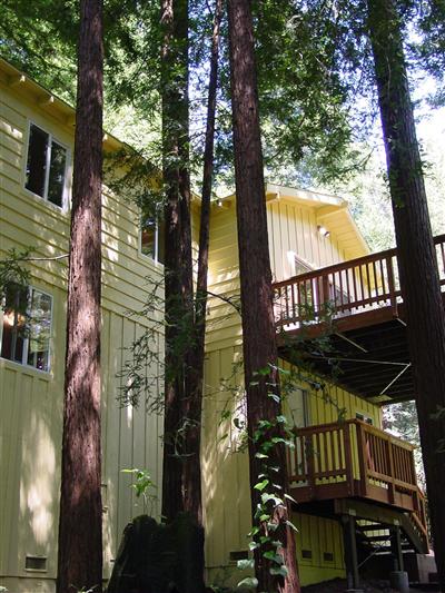 17 Springhill Drive Cazadero, CA 95421 - Photo 2 of 8 a view of a balcony with a tree beside it