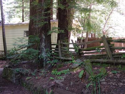 17 Springhill Drive Cazadero, CA 95421 - Photo 8 of 8 a view of a yard in front of the house