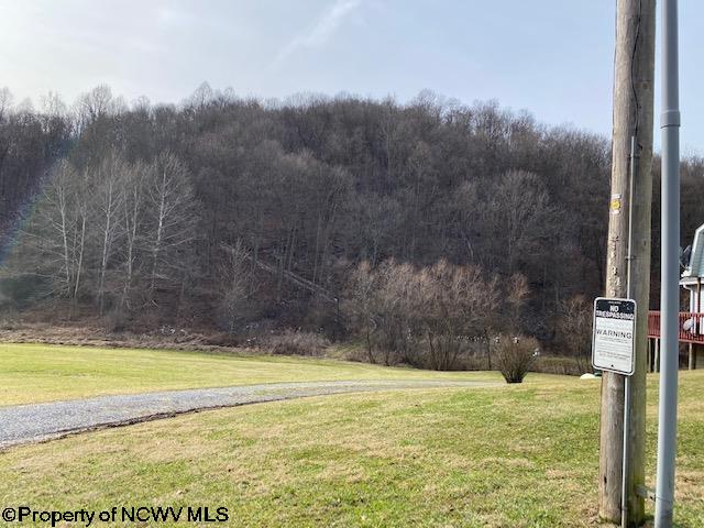 347 Red Hawk Road Wallace, WV 26448 - Photo 5 of 22 Gallery Image 5