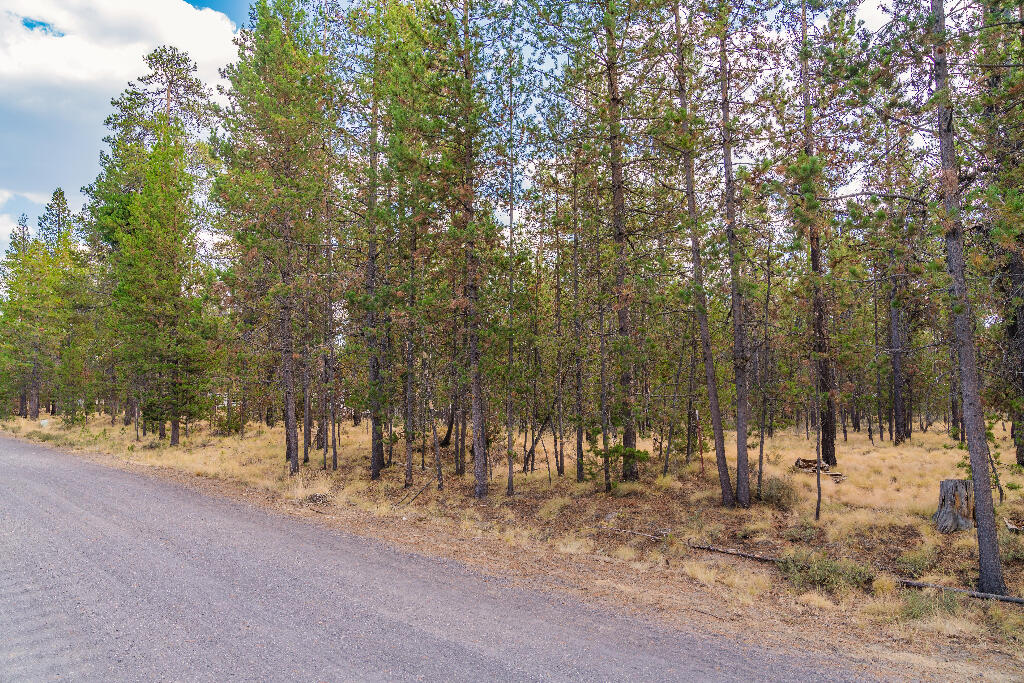 16877 Indigo Road Bend, OR 97707 - Photo 6 of 6 05