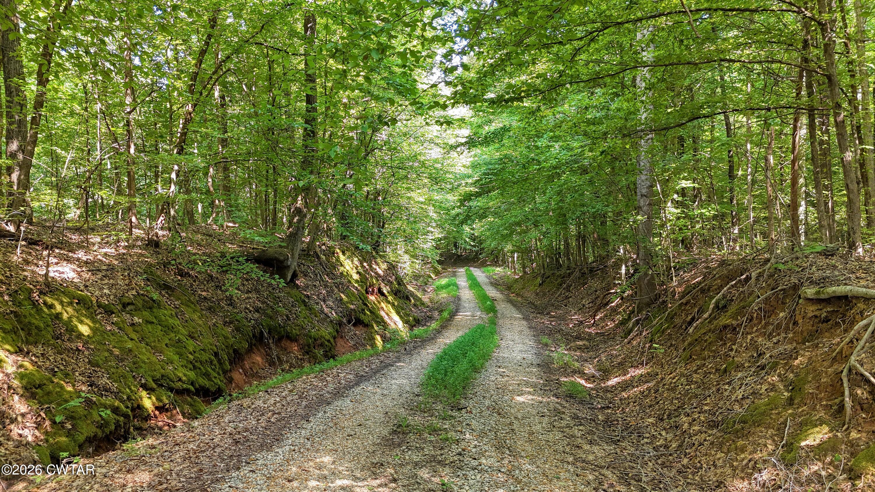 0 Eighteen Loop Toone, TN 38381 - Photo 16 of 16 DJI_20260806104206_0051_D