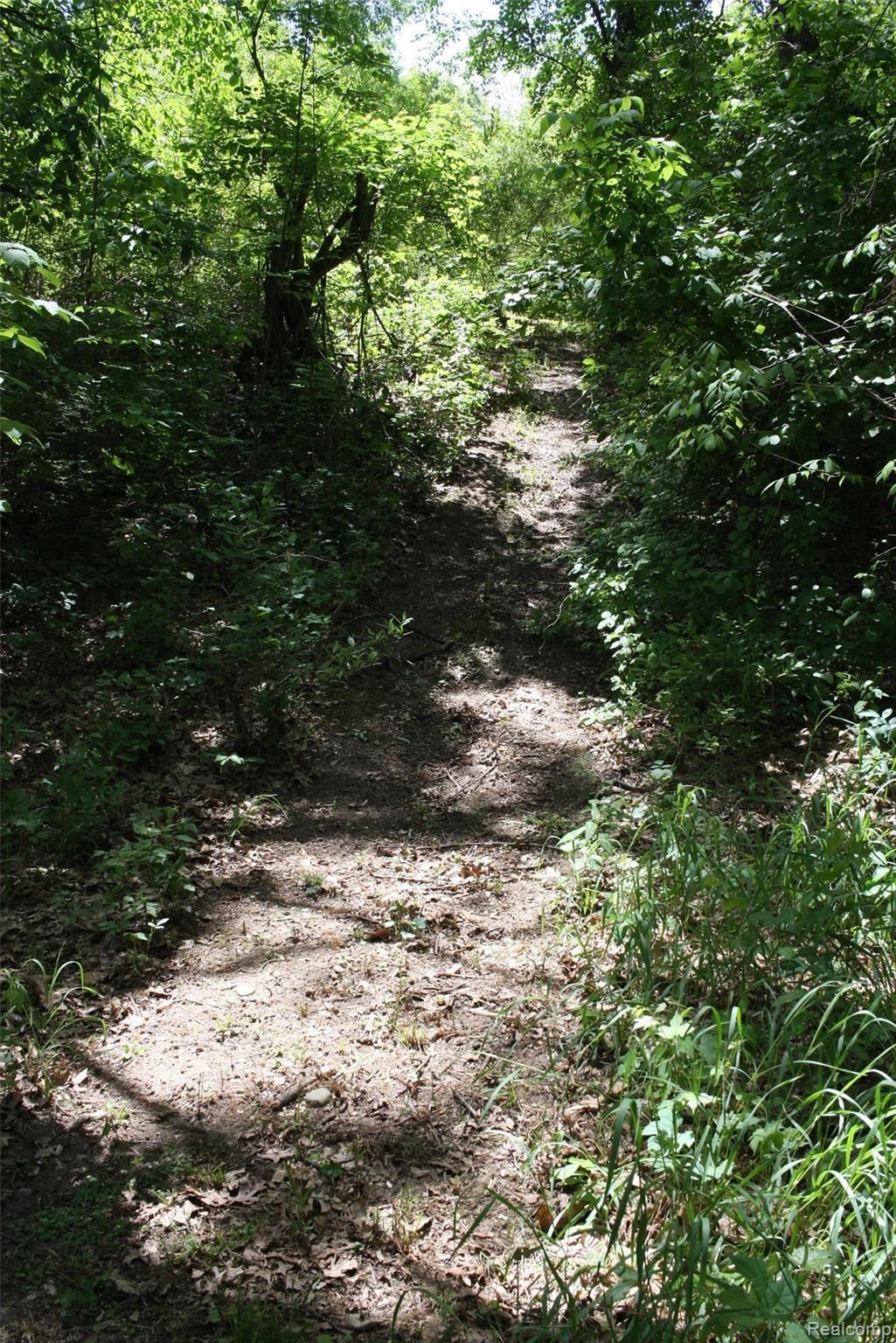 13101 Rattalee Lake Road Davisburg, MI 48350 - Photo 50 of 68 33 - 5pLXF2a.jpg