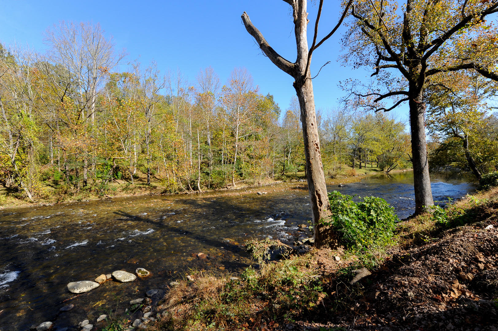 7755 River Road Townsend, TN 37882 - Photo 19 of 22 _DSC6529
