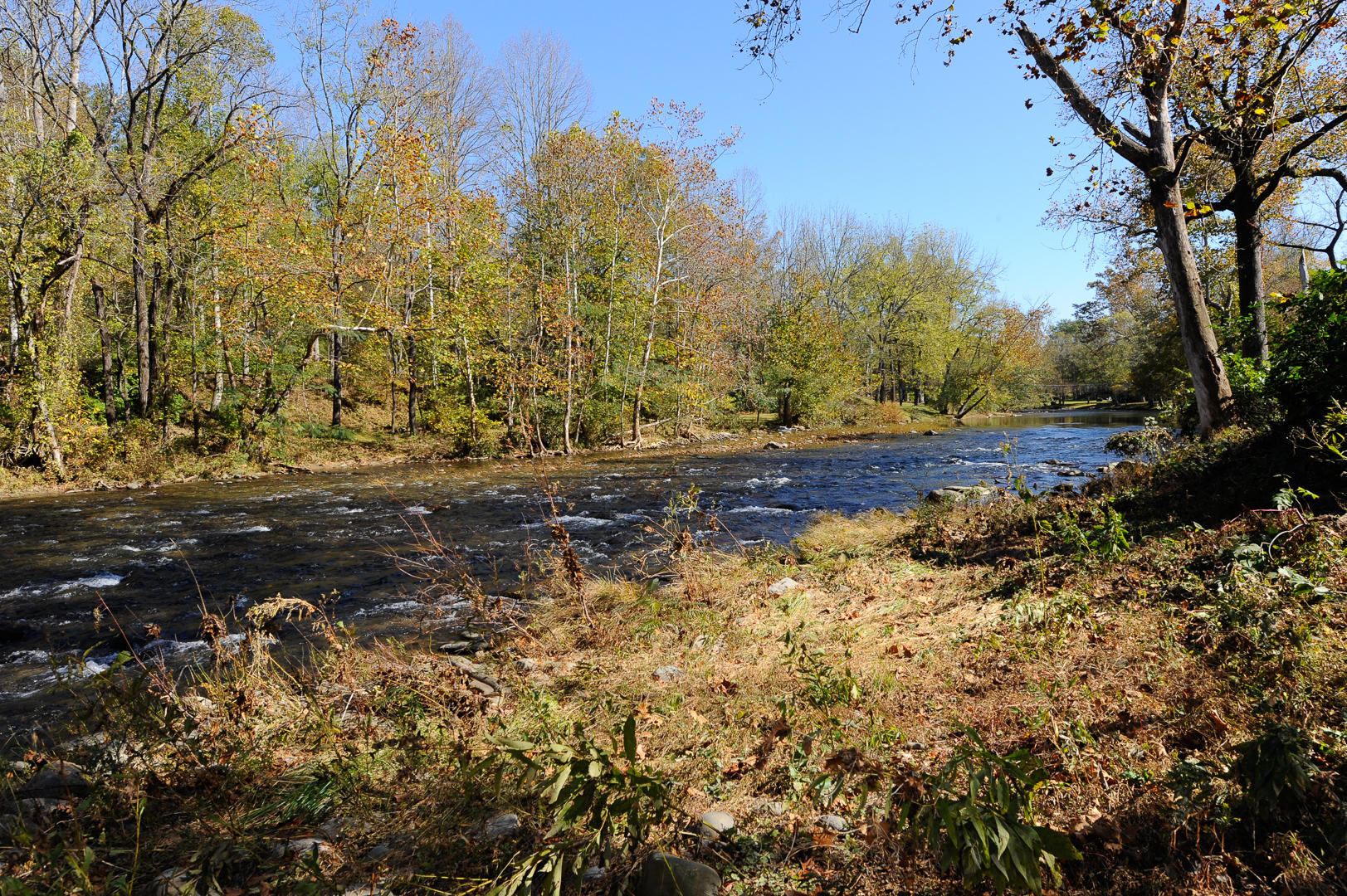 7755 River Road Townsend, TN 37882 - Photo 20 of 22 _DSC6532