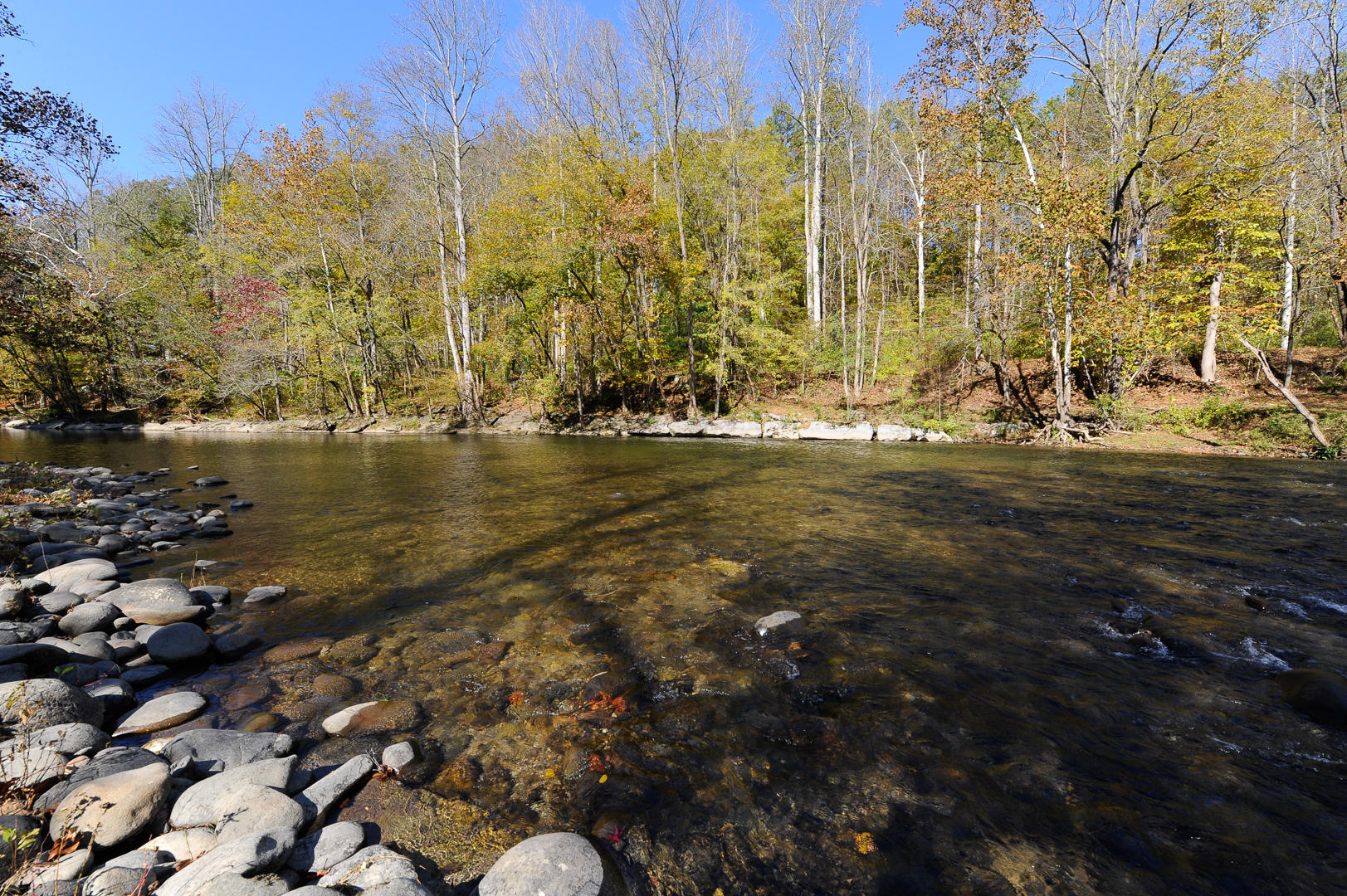 7755 River Road Townsend, TN 37882 - Photo 3 of 22 _DSC6536