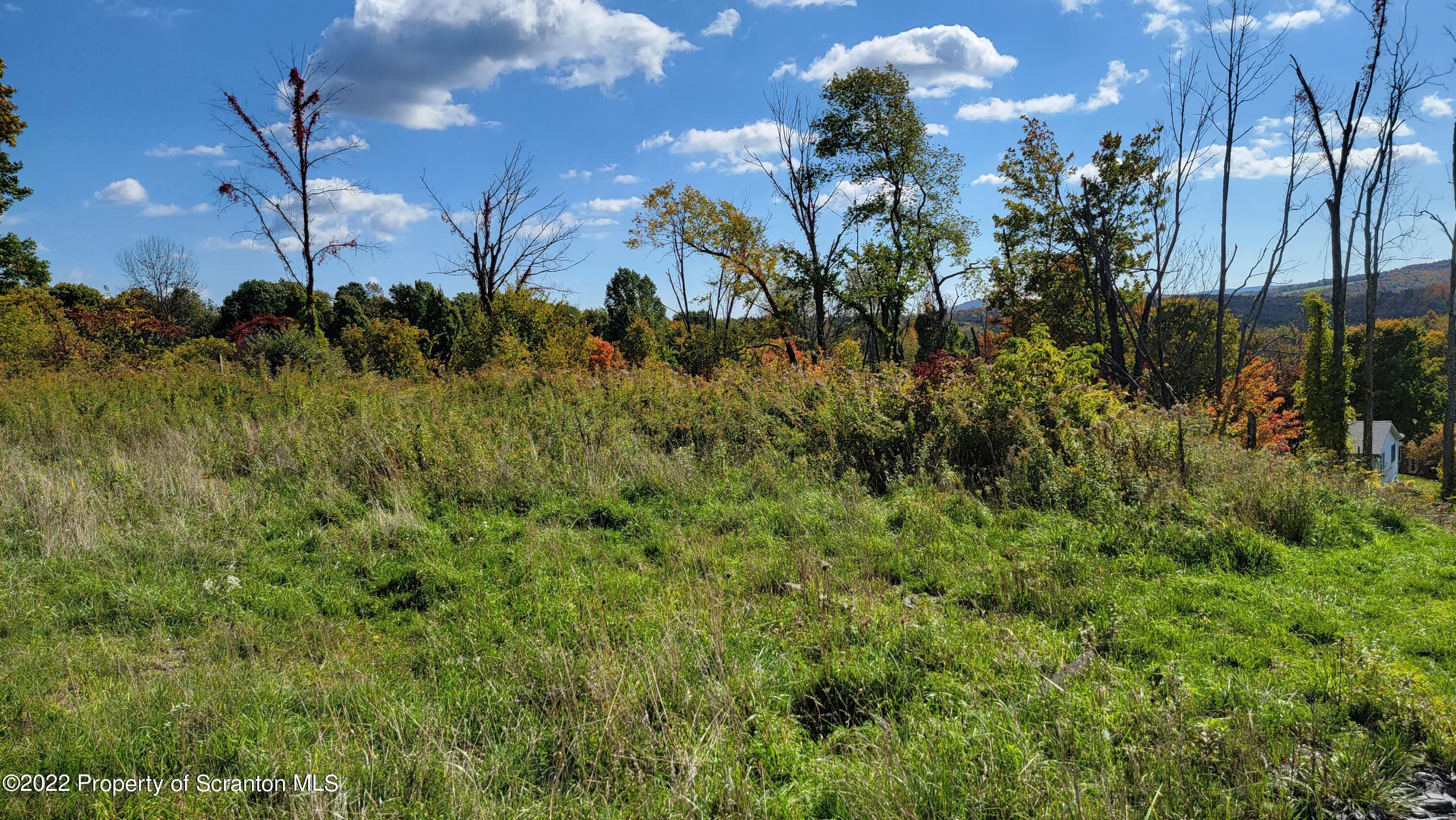 47 Highpoint Drive Factoryville, PA 18419 - Photo 11 of 22 a view of a bunch of plants