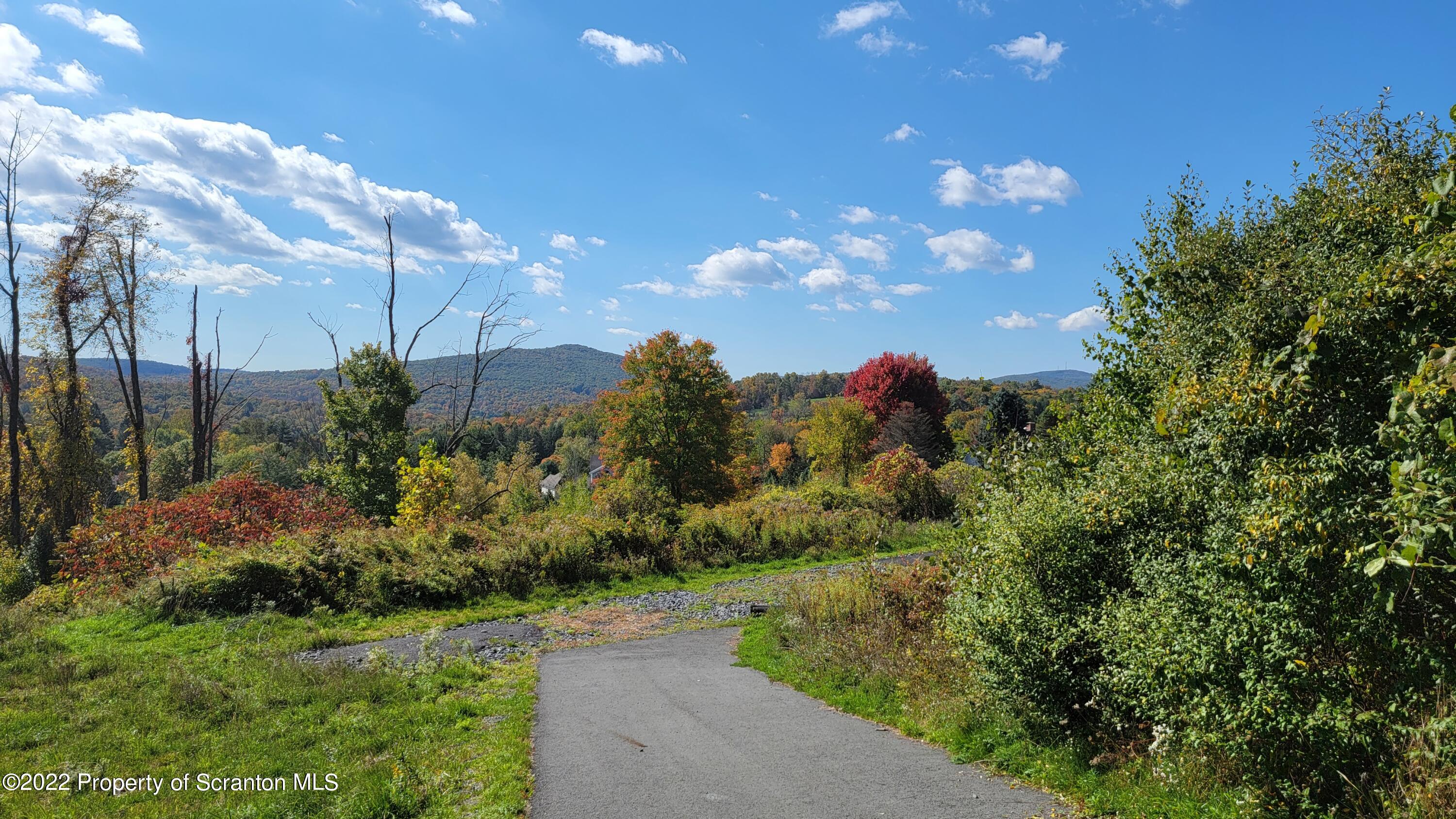 47 Highpoint Drive Factoryville, PA 18419 - Photo 13 of 22 a view of a street with a tree in the background