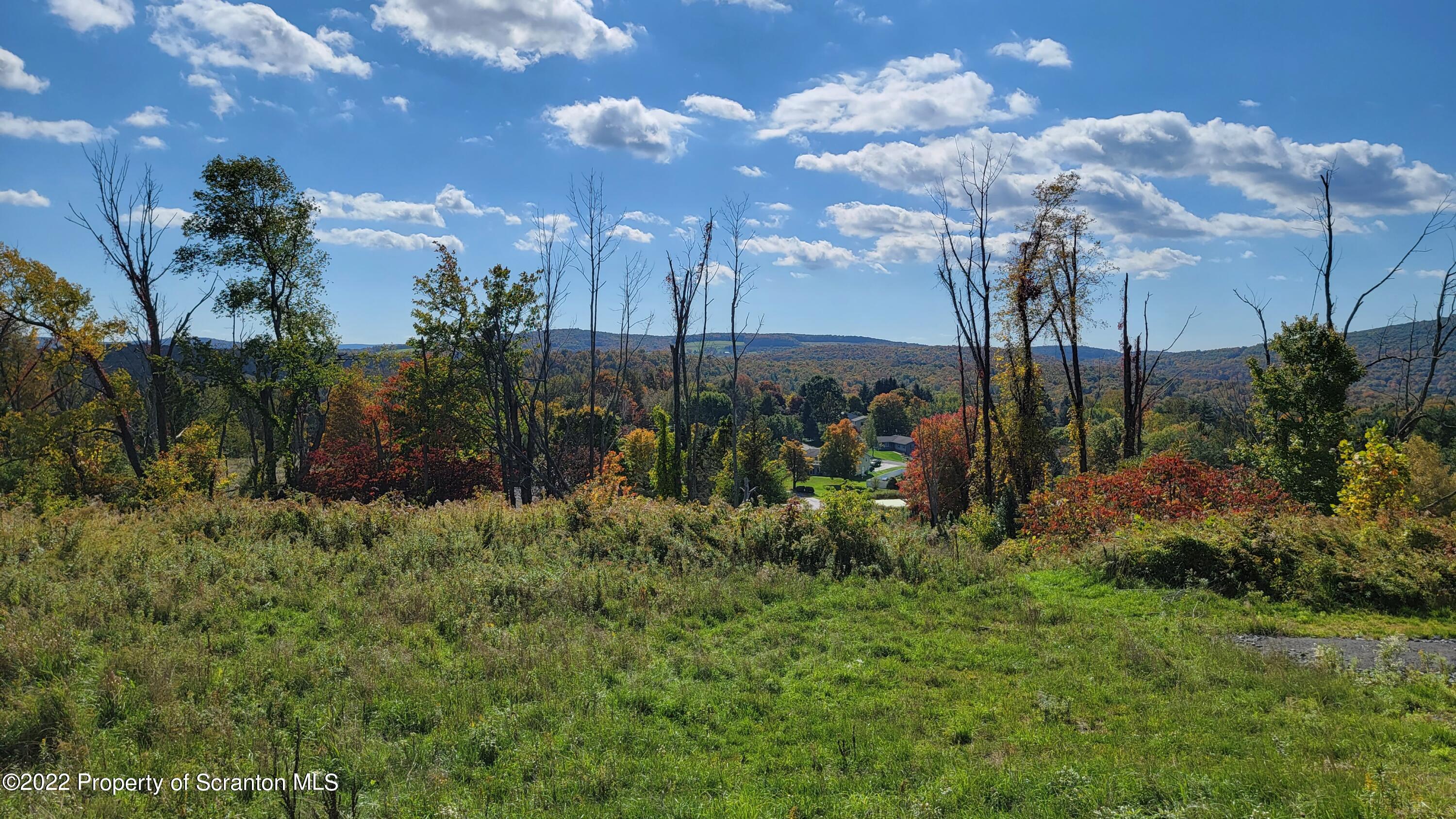 47 Highpoint Drive Factoryville, PA 18419 - Photo 14 of 22 a view of a park with large trees