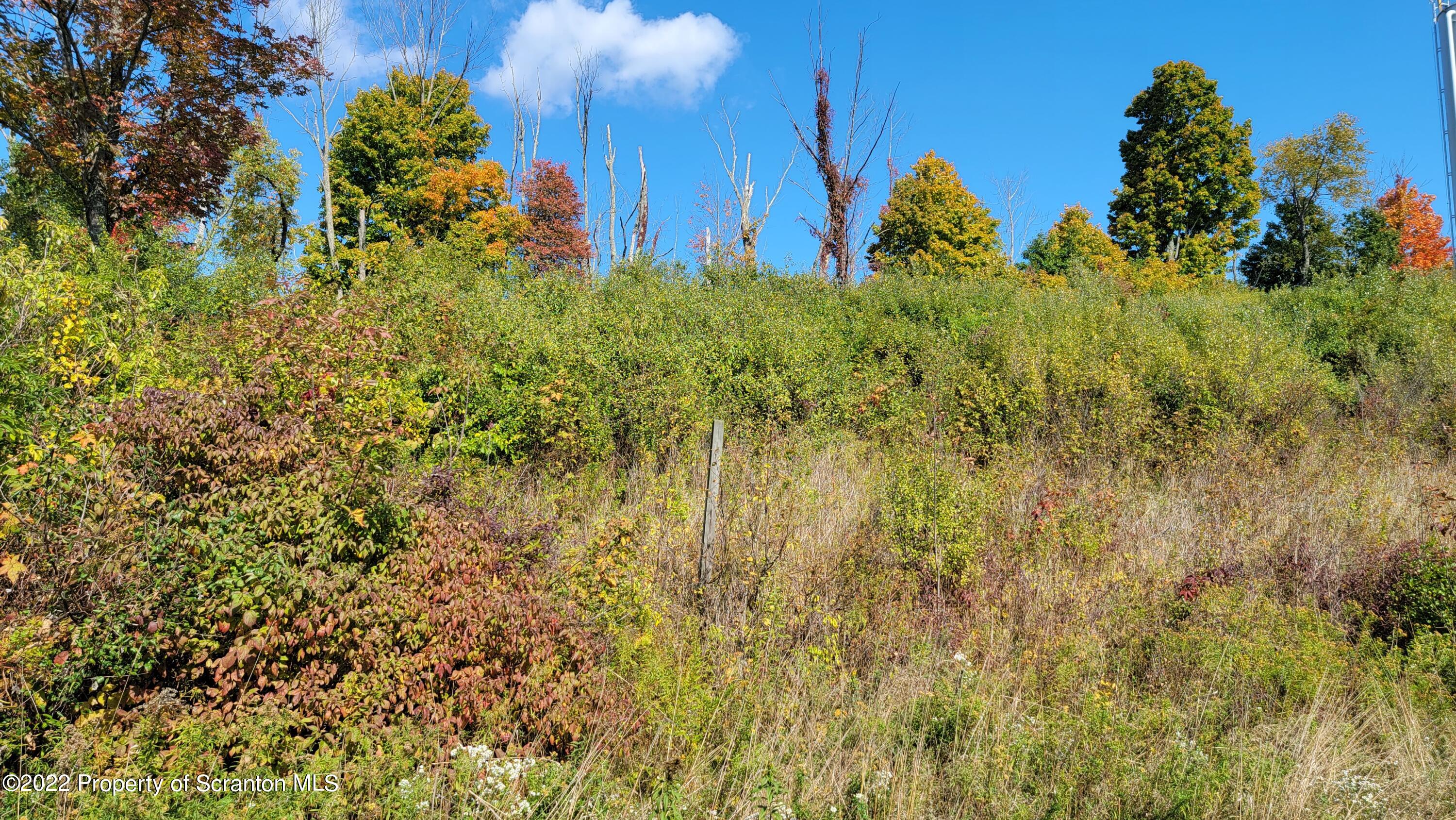 47 Highpoint Drive Factoryville, PA 18419 - Photo 5 of 22 a view of a garden