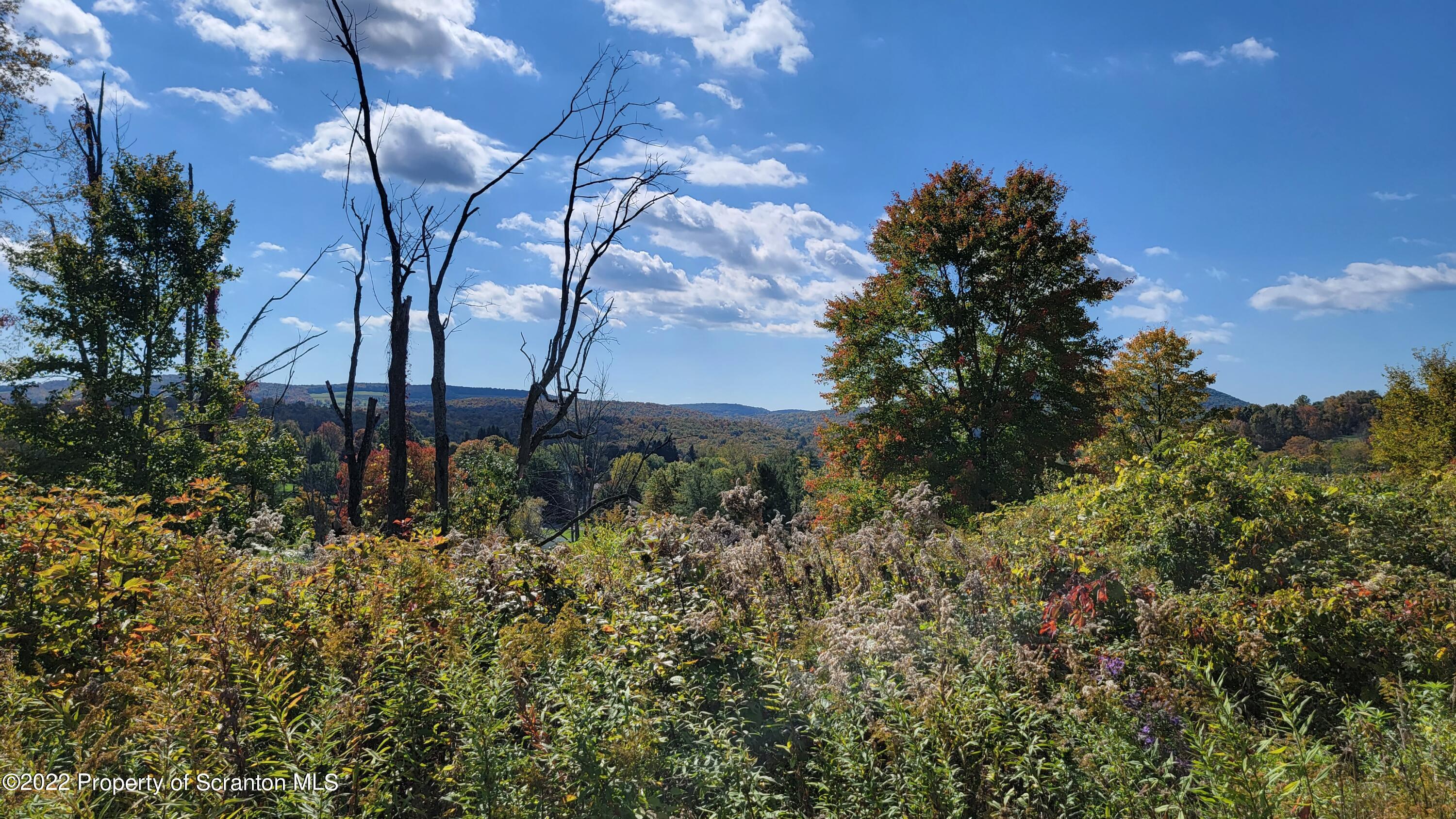 47 Highpoint Drive Factoryville, PA 18419 - Photo 7 of 22 a backyard of a house with lots of green space