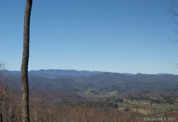 69 Pepperbush Road, Unit 43 Brevard, NC 28712 - Photo 2 of 6 Gallery Image 2