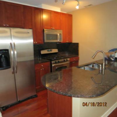 2231 West Maypole Avenue, Unit 302 Chicago, IL 60612 - Photo 2 of 11