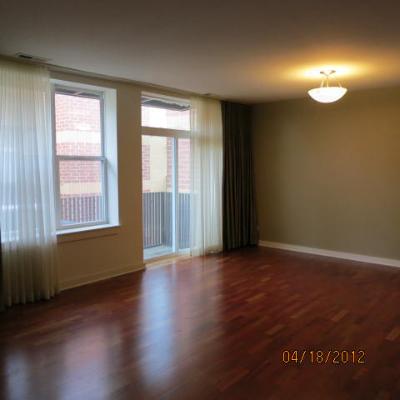 2231 West Maypole Avenue, Unit 302 Chicago, IL 60612 - Photo 4 of 11