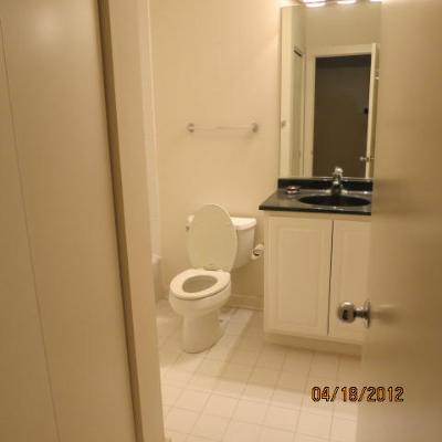 2231 West Maypole Avenue, Unit 302 Chicago, IL 60612 - Photo 7 of 11